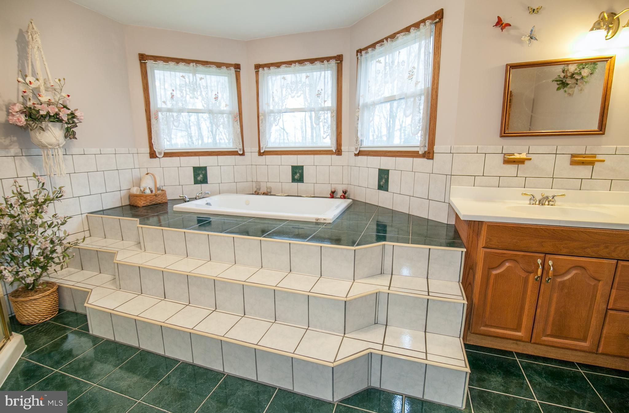 118 Fort Hoyle Road Joppa, MD 21085 - Photo 15 of 27 Bath (Master)