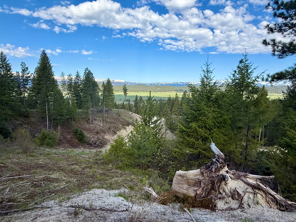 38 San Ignacio Way, Unit 3 Cascade, ID 83611 - Photo 6 of 21 Ridge-Top View of Long Valley