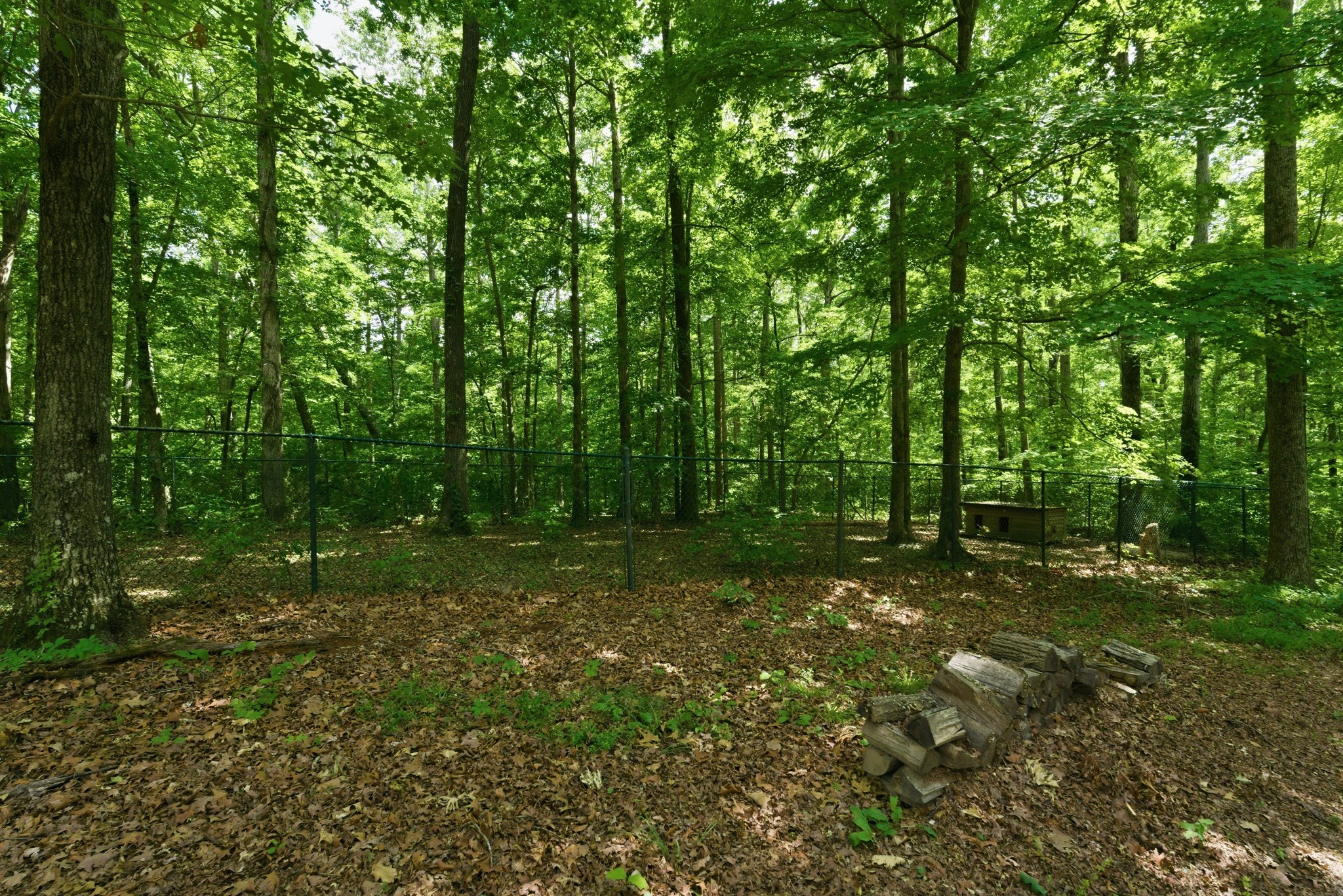957 Ford Road White Bluff, TN 37187 - Photo 50 of 60