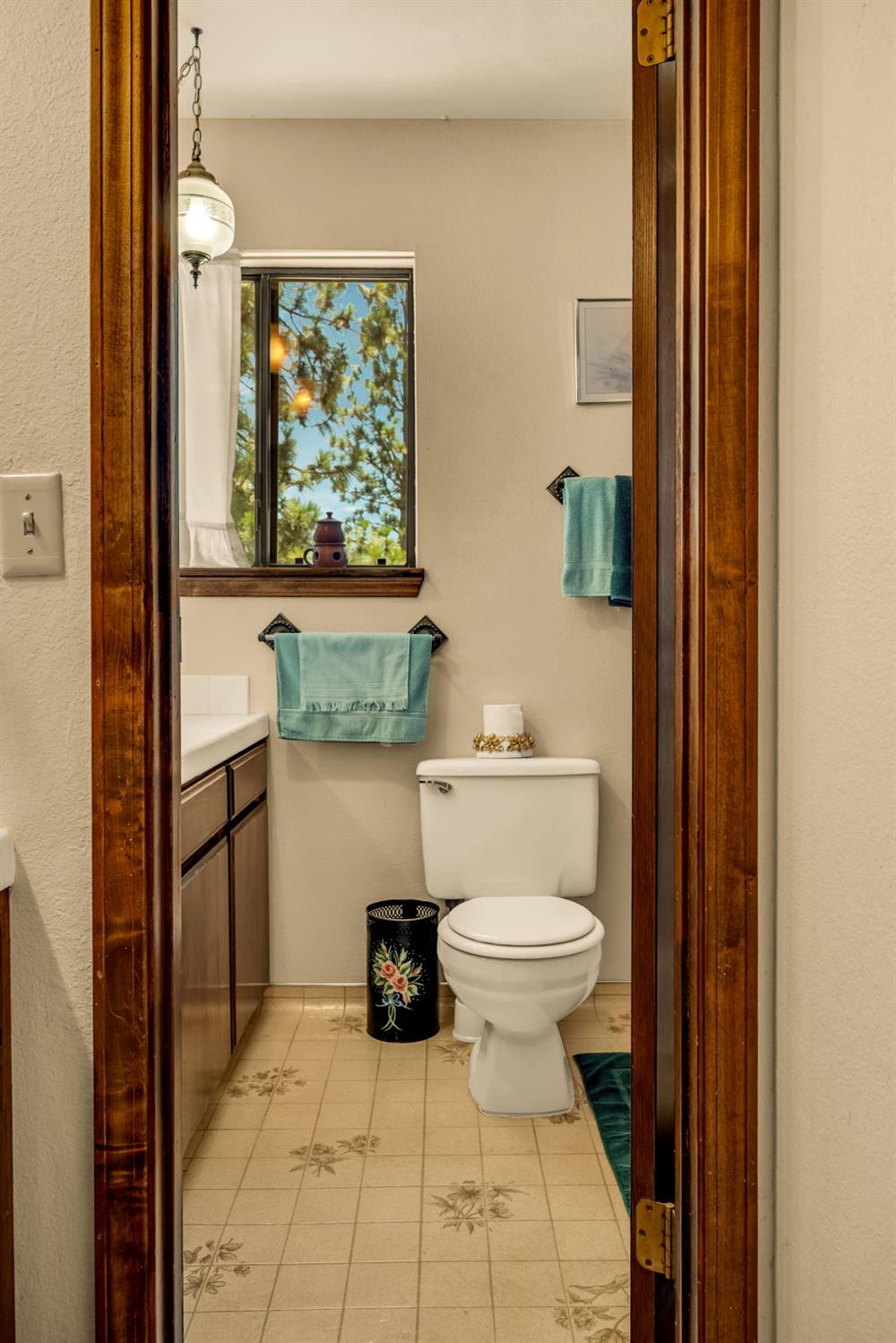 12336 Scott Road Mountain Ranch, CA 95246 - Photo 29 of 70
