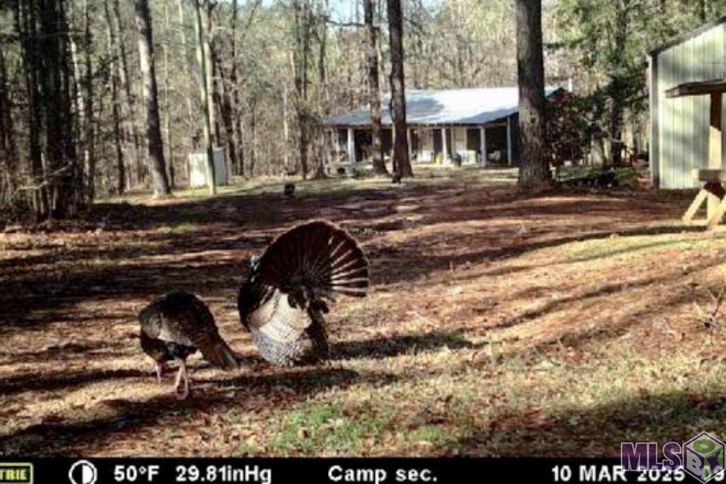 655 Oil Well Road Fayette, MS 39069 - Photo 8 of 58