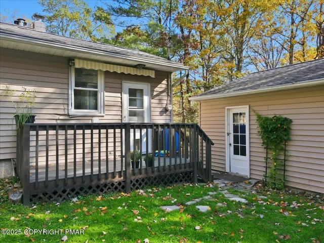 a view of a yard with plants and trees