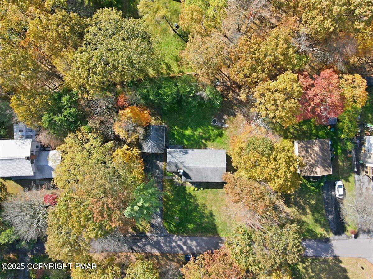 612 Prices Drive Cresco, PA 18326 - Photo 31 of 37 a view of a yard with plants and trees