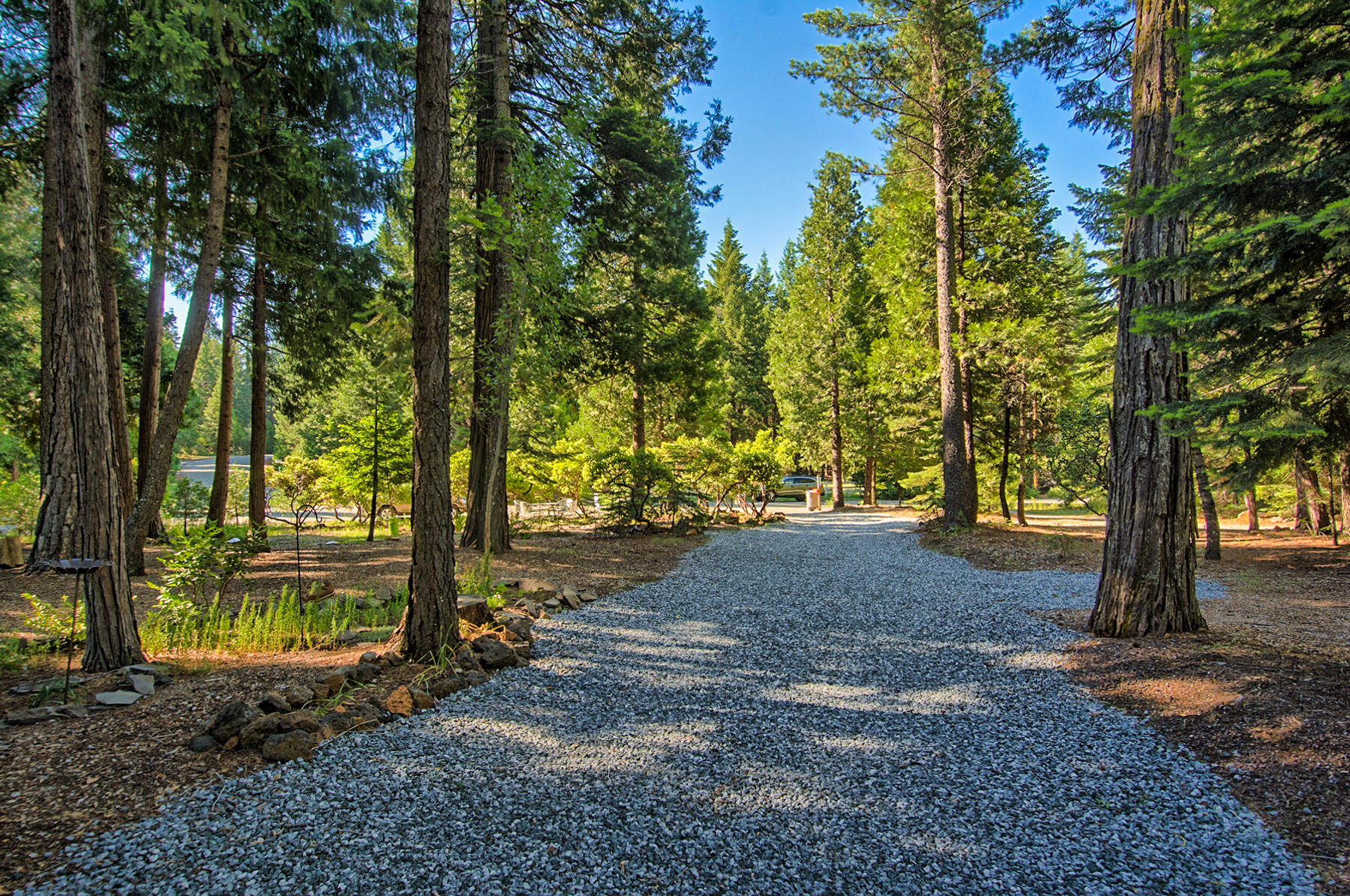 8208 Ritts Mill Road Shingletown, CA 96088 - Photo 23 of 27 Driveway