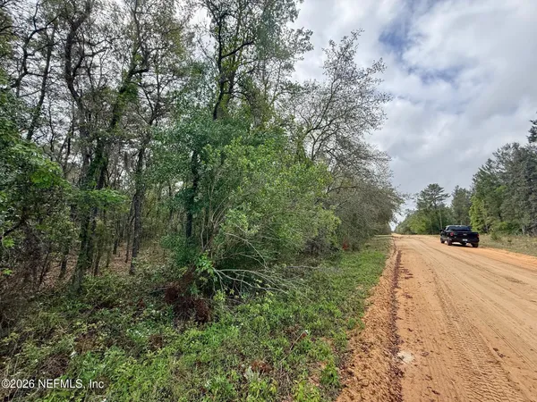 a view of a road with trees in the background