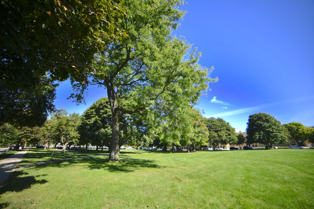 165 North 66th Street Milwaukee, WI 53213 - Photo 25 of 25 Photo 25