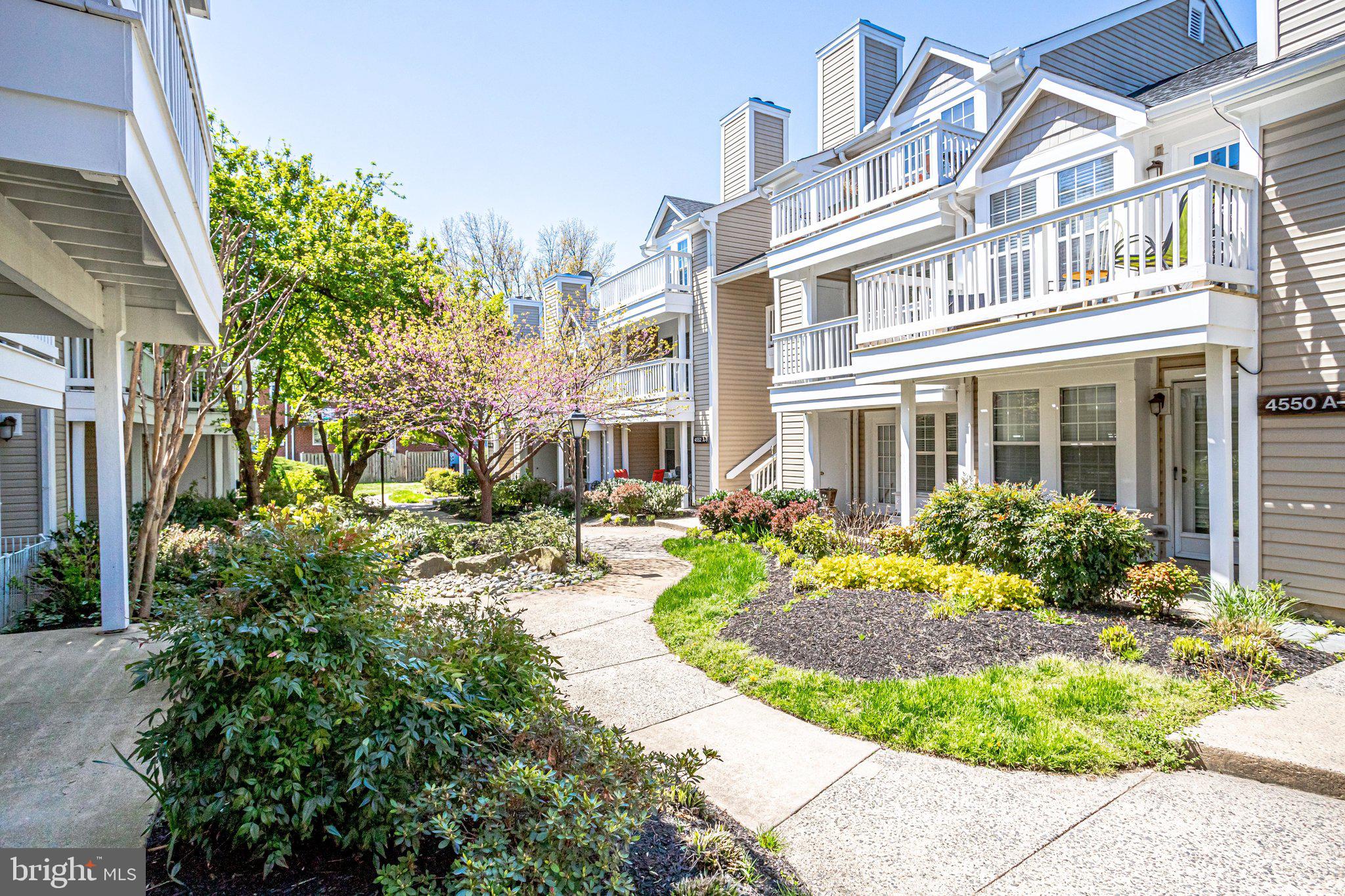 4544 28th Road South, Unit D Arlington, VA 22206 - Photo 3 of 37 Gallery Image 3