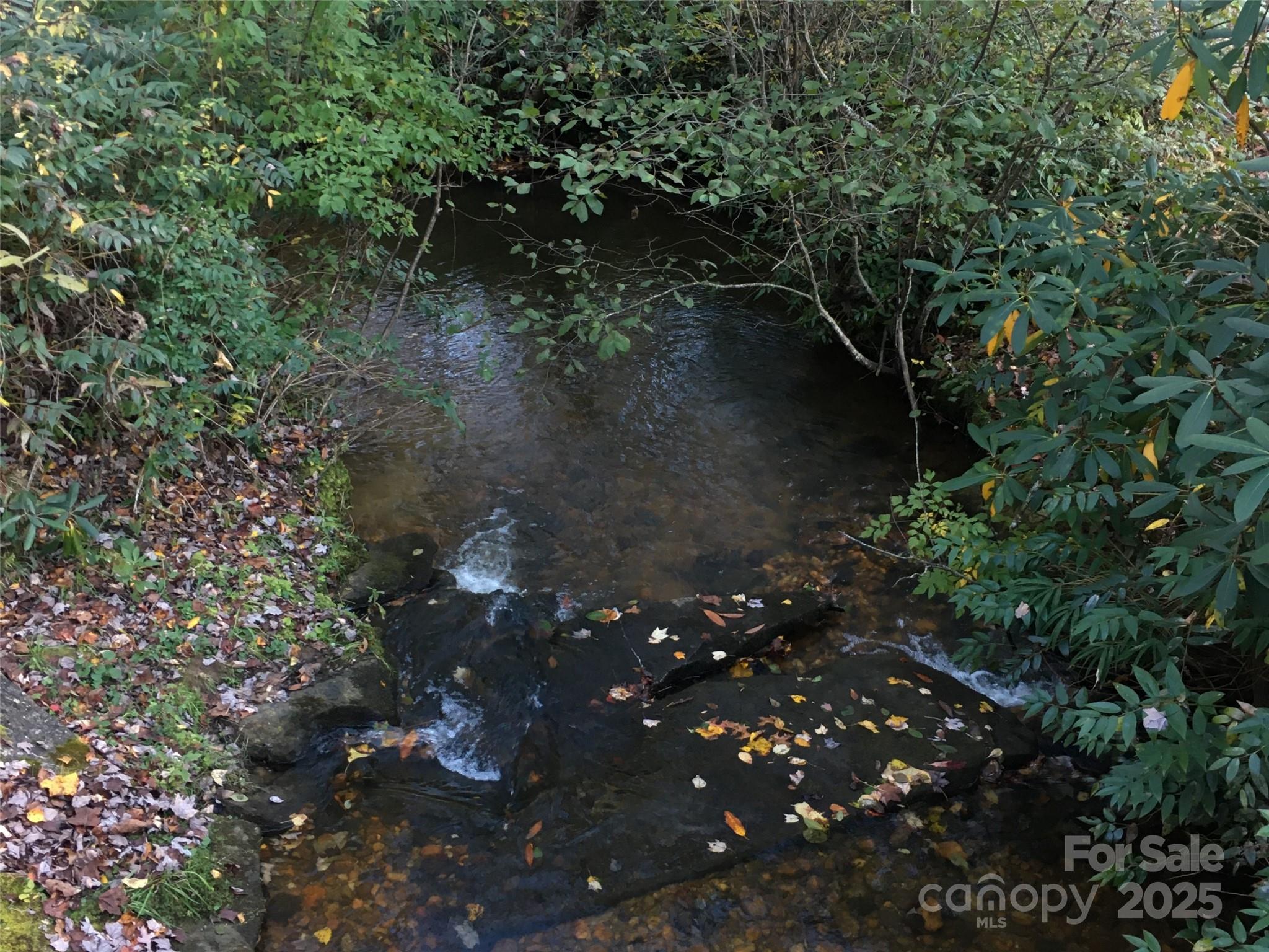 Lot 24 Ridge Trail Drive Balsam Grove, NC 28708 - Photo 13 of 15