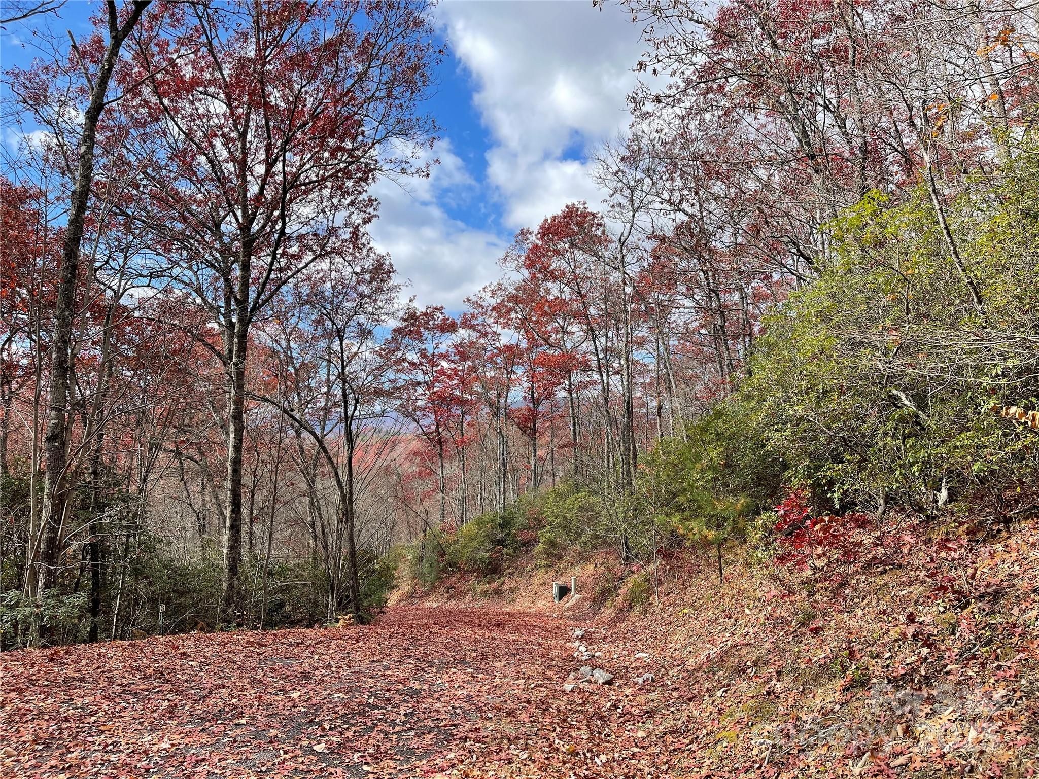 Lot 24 Ridge Trail Drive Balsam Grove, NC 28708 - Photo 3 of 15