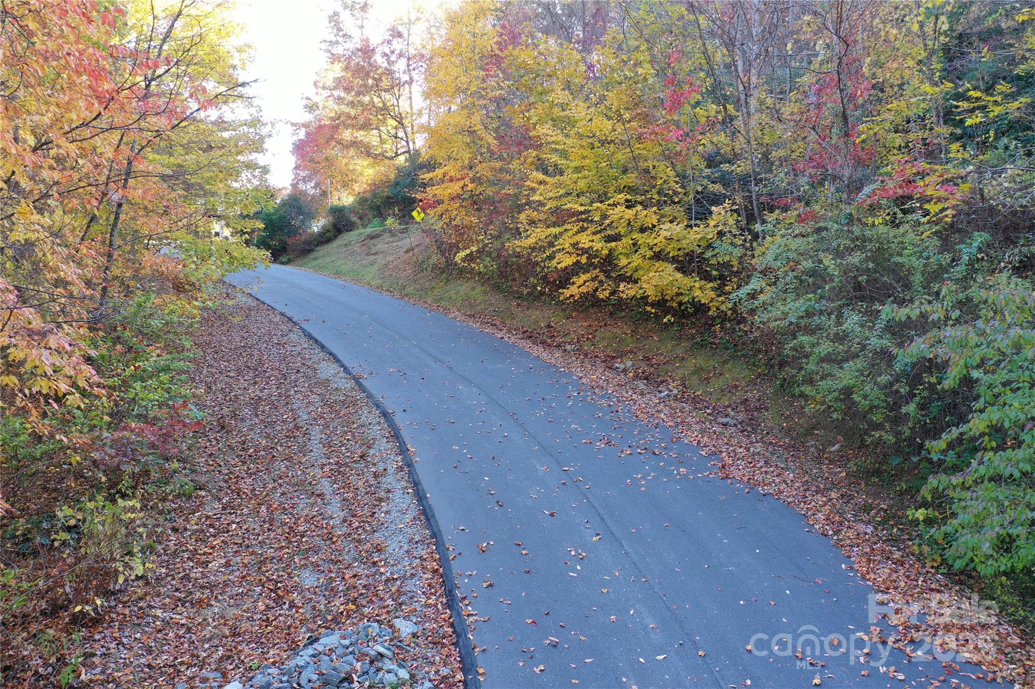 Lot 24 Ridge Trail Drive Balsam Grove, NC 28708 - Photo 5 of 15