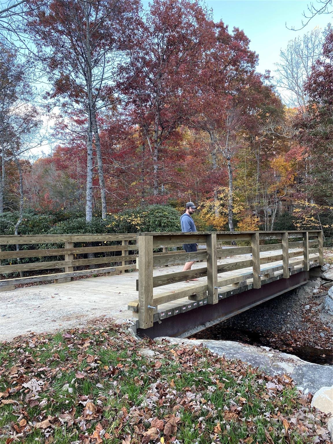 Lot 24 Ridge Trail Drive Balsam Grove, NC 28708 - Photo 6 of 15