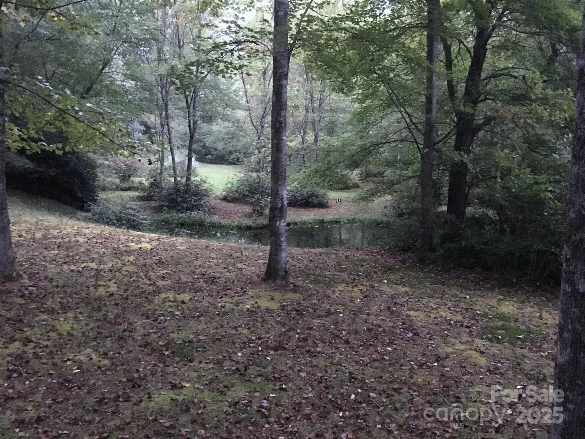 Lot 24 Ridge Trail Drive Balsam Grove, NC 28708 - Photo 8 of 15