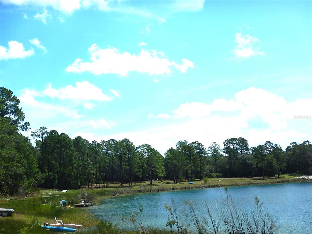 8315 Lilly Lake Road Melrose, FL 32666 - Photo 37 of 46
