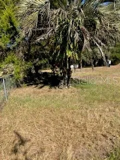 a view of a backyard with plants and lake