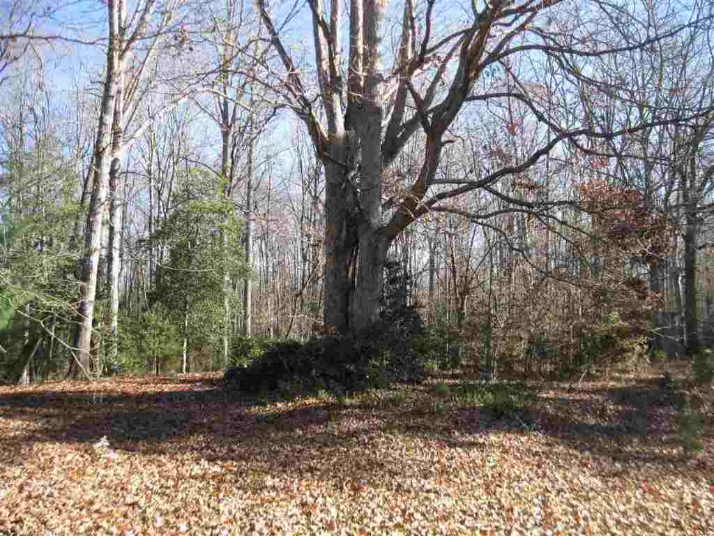 185 Mahaffey Road Belton, SC 29627 - Photo 3 of 5