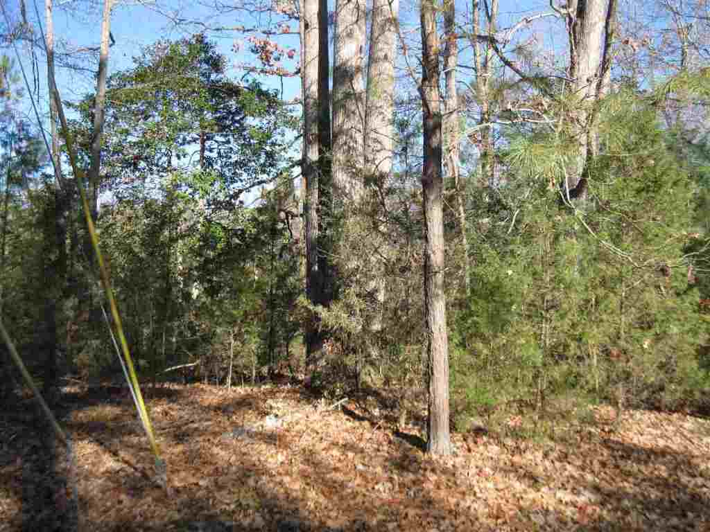 185 Mahaffey Road Belton, SC 29627 - Photo 4 of 5