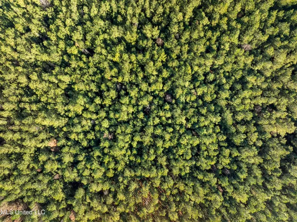 $399,900 | 482 County Home Road, Ellisville, MS 39437