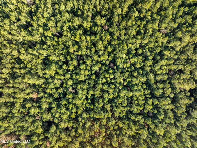 $399,900 | 482 County Home Road, Ellisville, MS 39437