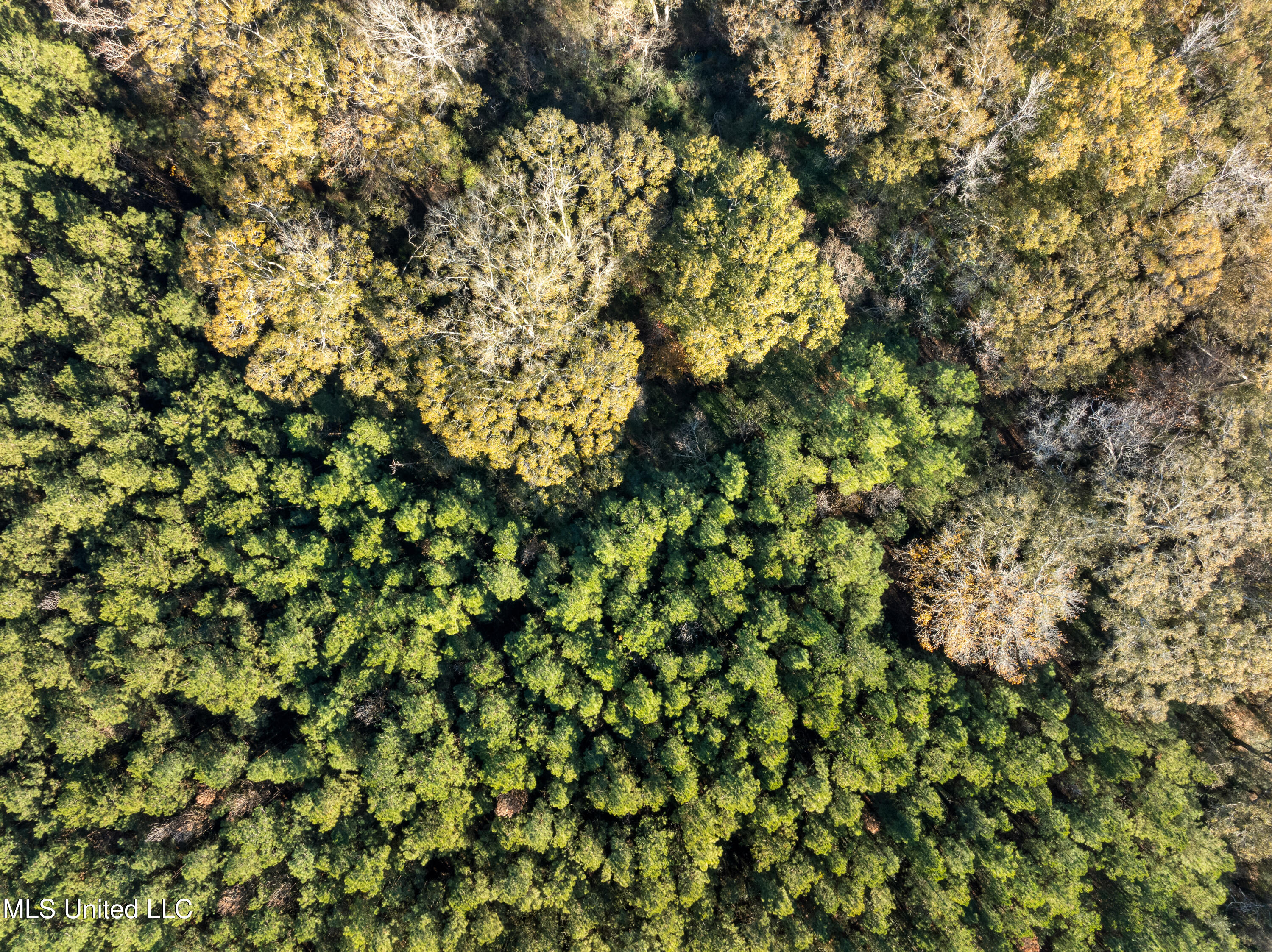 482 County Home Road Ellisville, MS 39437 - Photo 16 of 31 482_County_Home_Rd-20