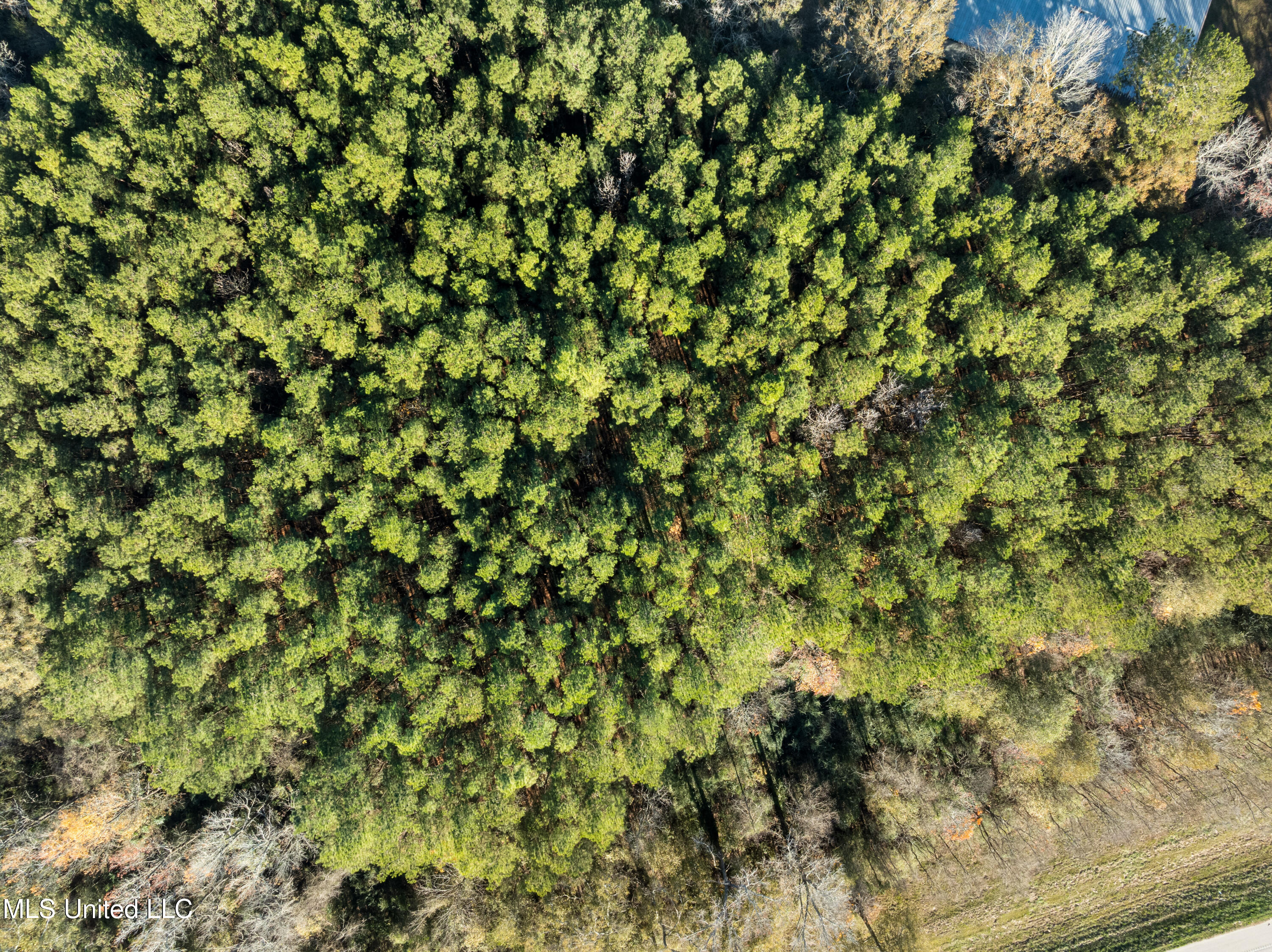 482 County Home Road Ellisville, MS 39437 - Photo 17 of 31 482_County_Home_Rd-19