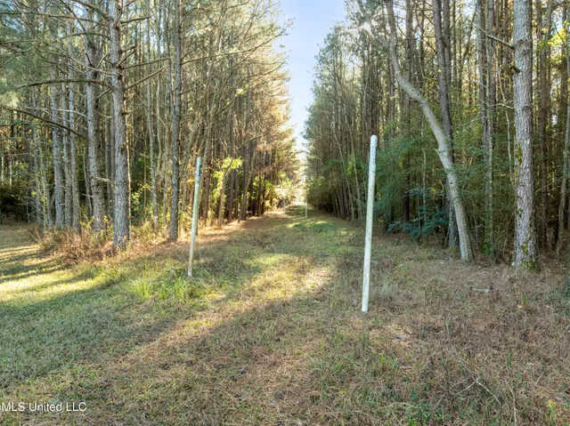 $399,900 | 482 County Home Road, Ellisville, MS 39437