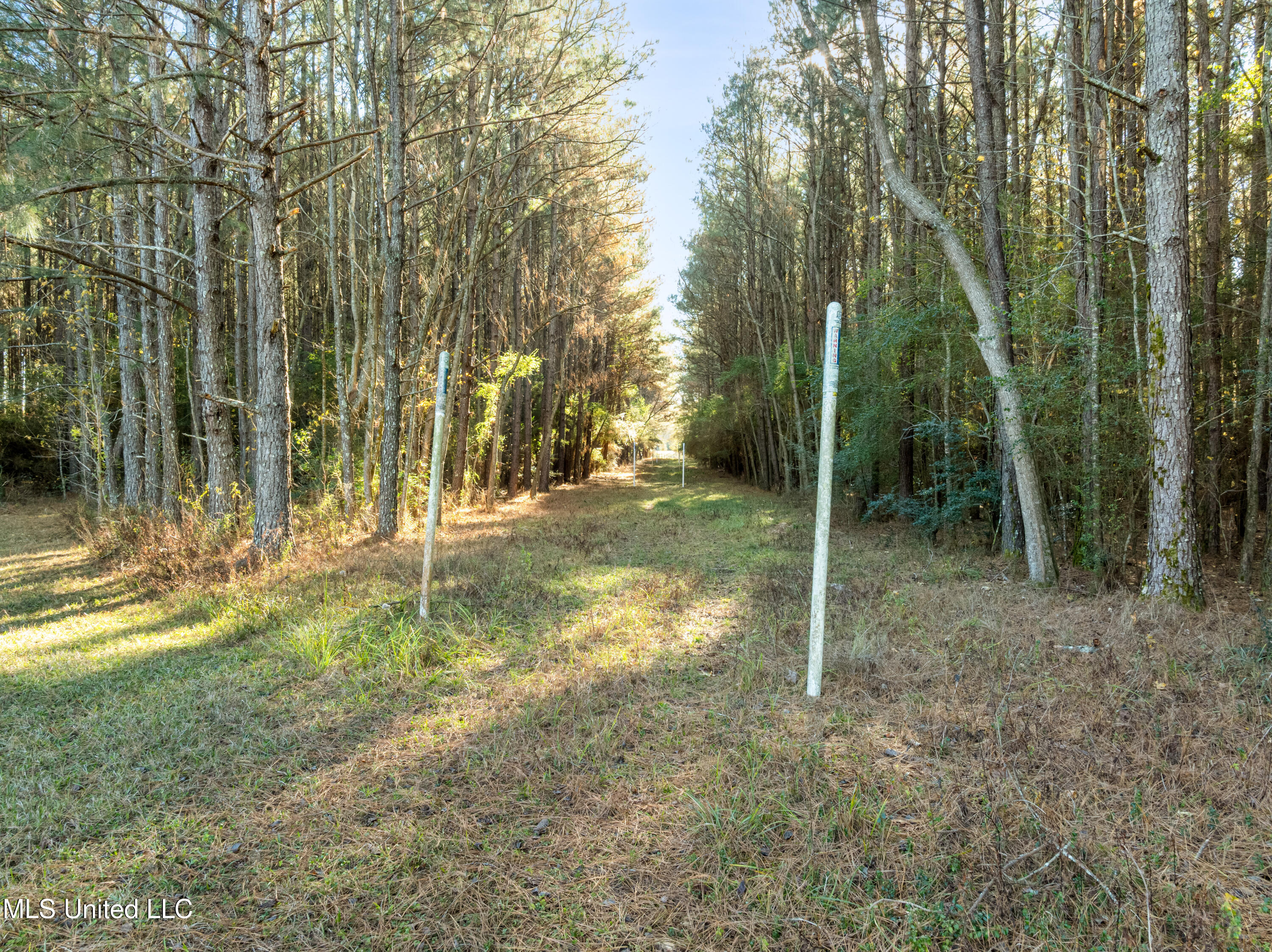 482 County Home Road Ellisville, MS 39437 - Photo 26 of 31 482_County_Home_Rd-17