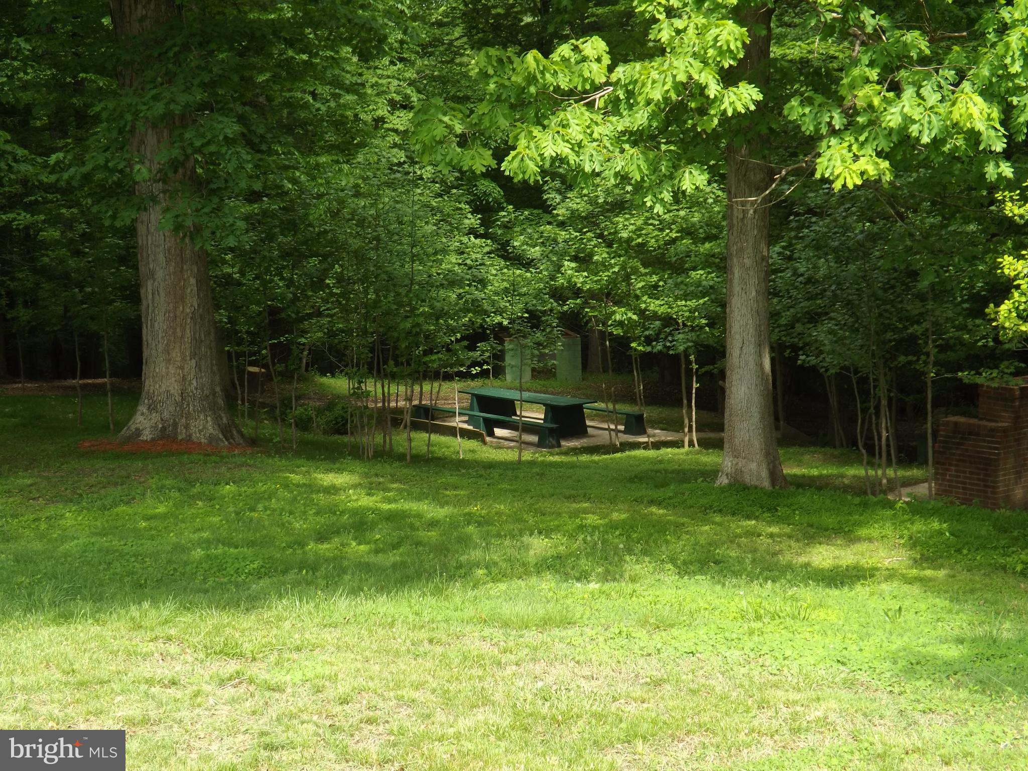 9901 Dangerfield Road Clinton, MD 20735 - Photo 23 of 39 Front yard