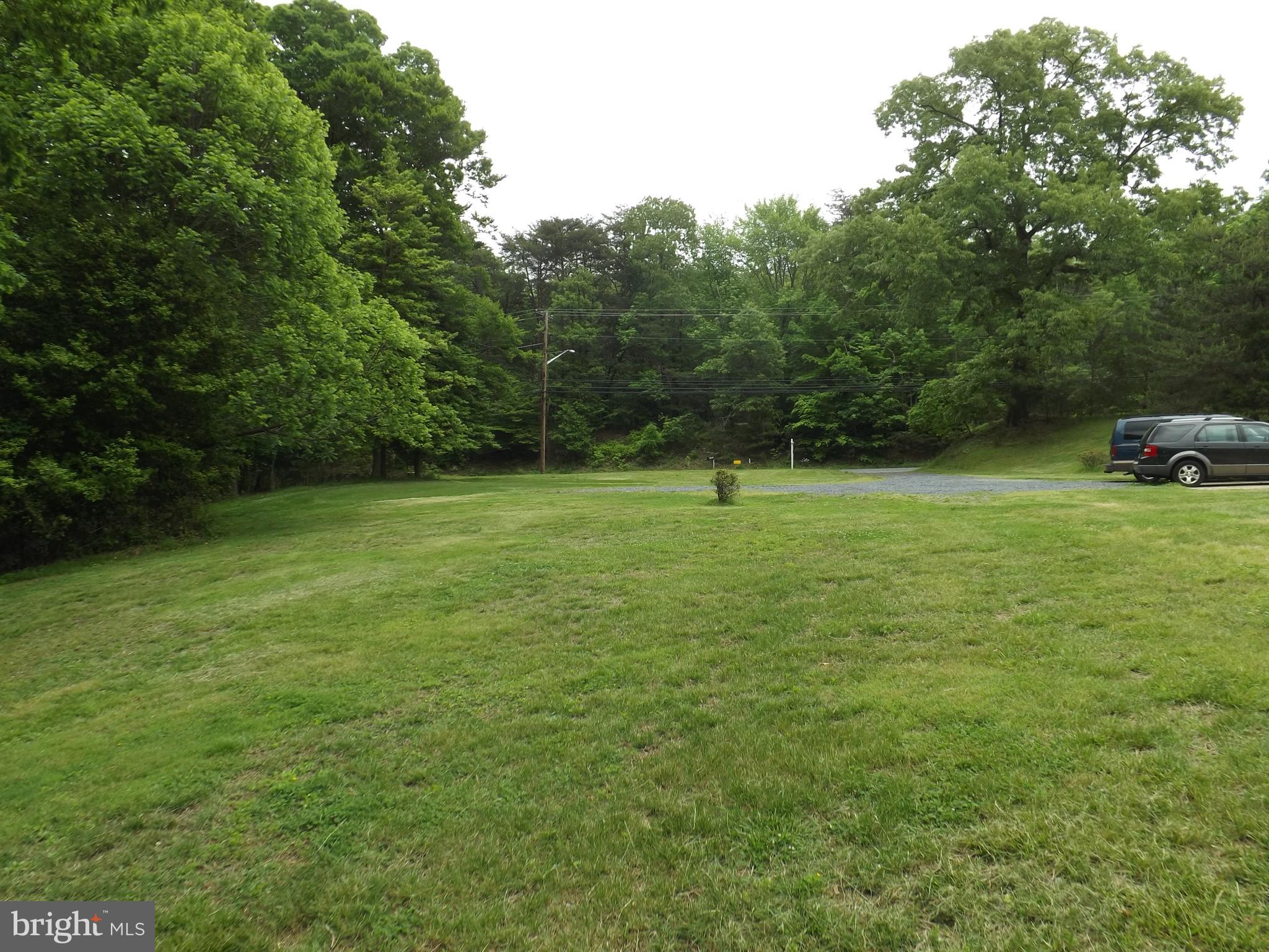 9901 Dangerfield Road Clinton, MD 20735 - Photo 31 of 39 Front woods