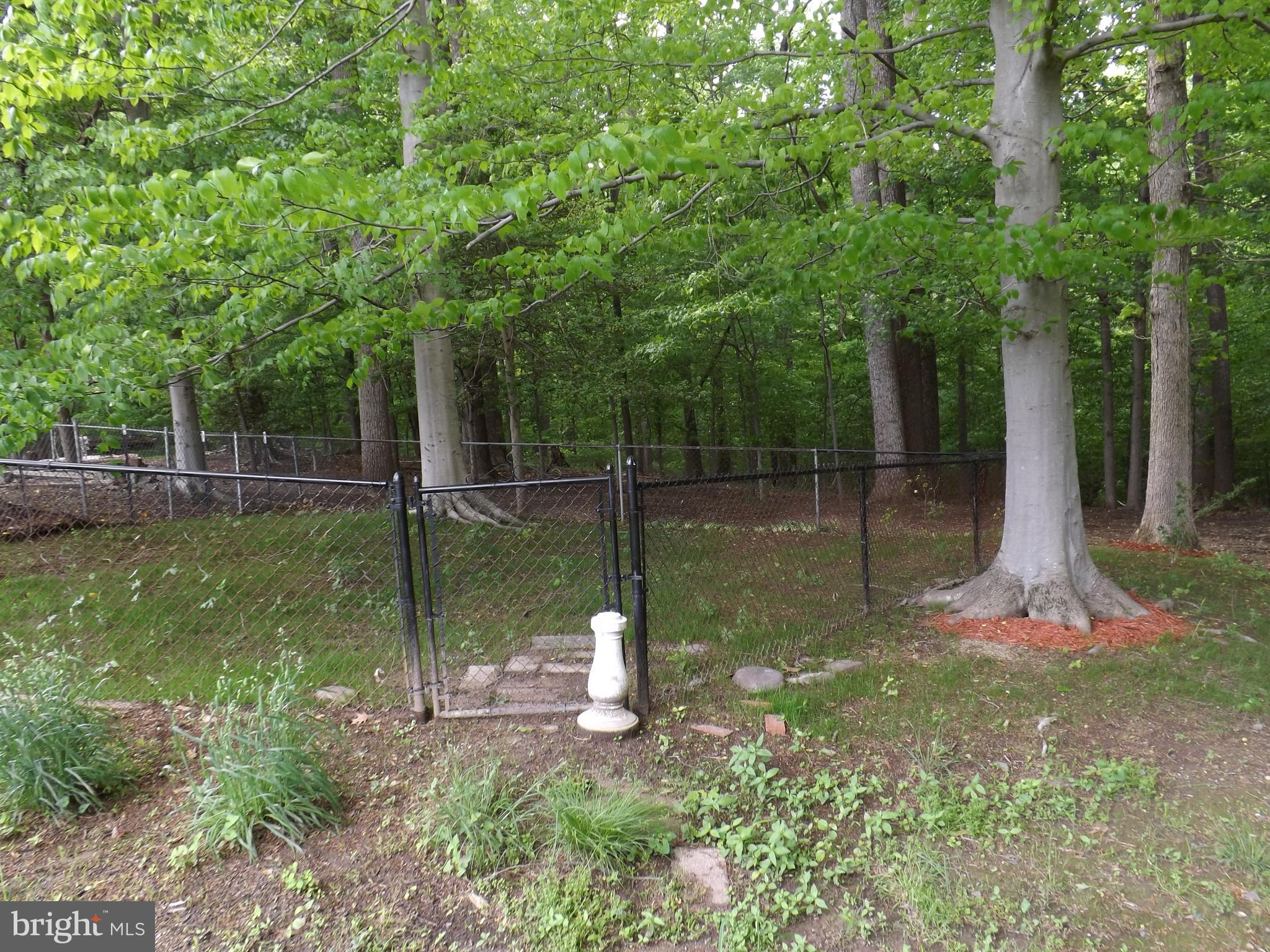 9901 Dangerfield Road Clinton, MD 20735 - Photo 36 of 39 Gallery Image 36