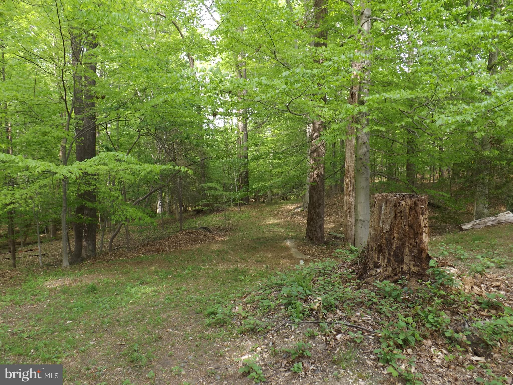 9901 Dangerfield Road Clinton, MD 20735 - Photo 38 of 39 Your private road to second entrance