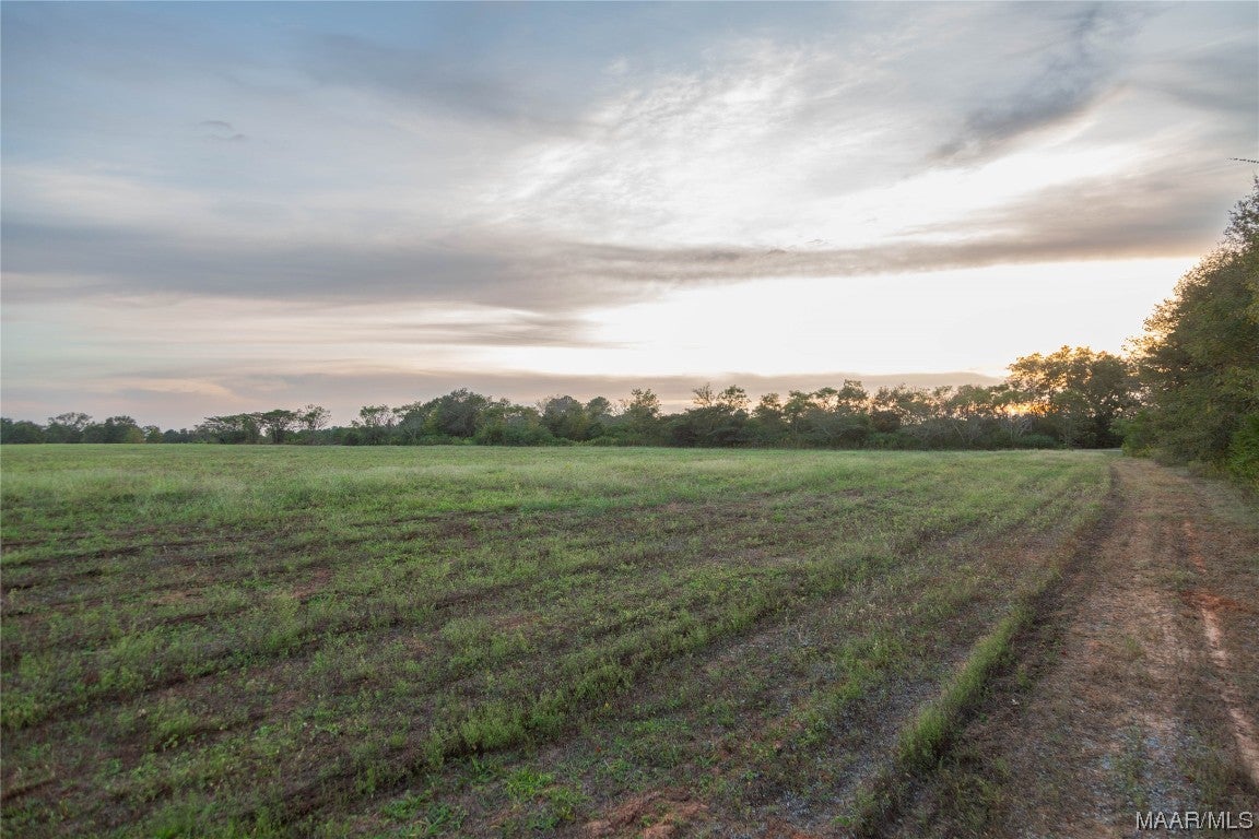 337 County Road 337 Brantley, AL 36009 - Photo 13 of 36 Gallery Image 13