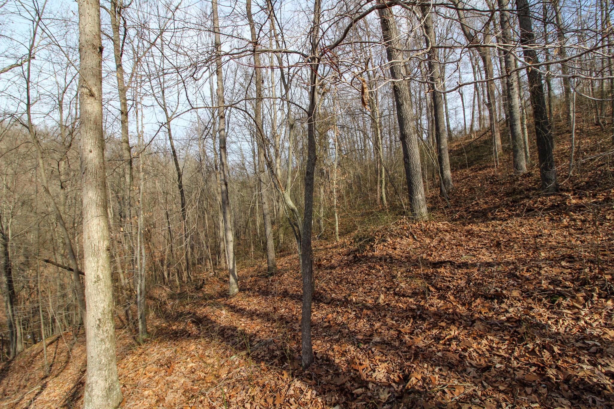 0 Kerr Run Road Newport, OH 45768 - Photo 9 of 26 IMG_3803