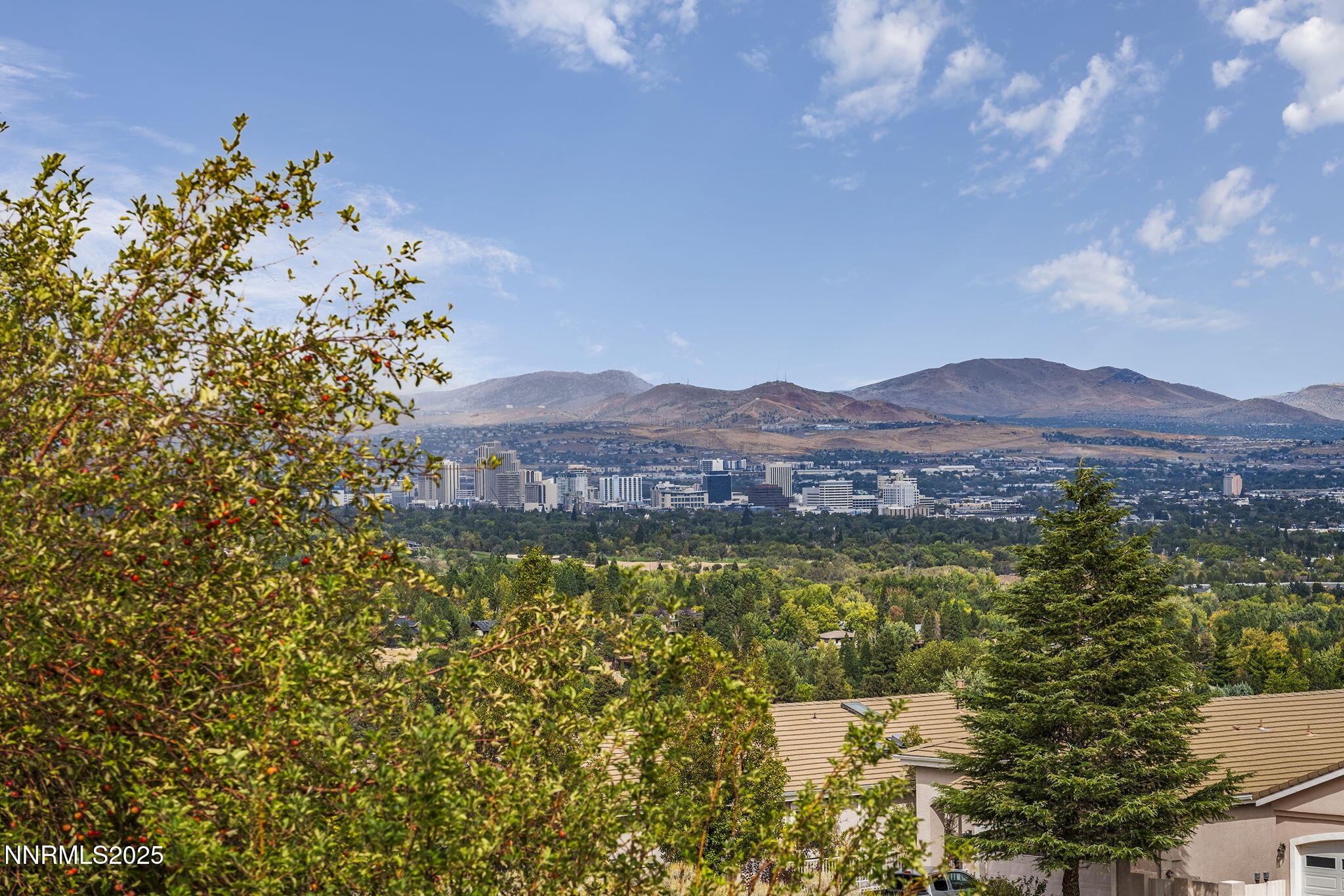 2652 Starr Meadows Loop Reno, NV 89519 - Photo 44 of 72 40-web-or-mls-_DSC1539