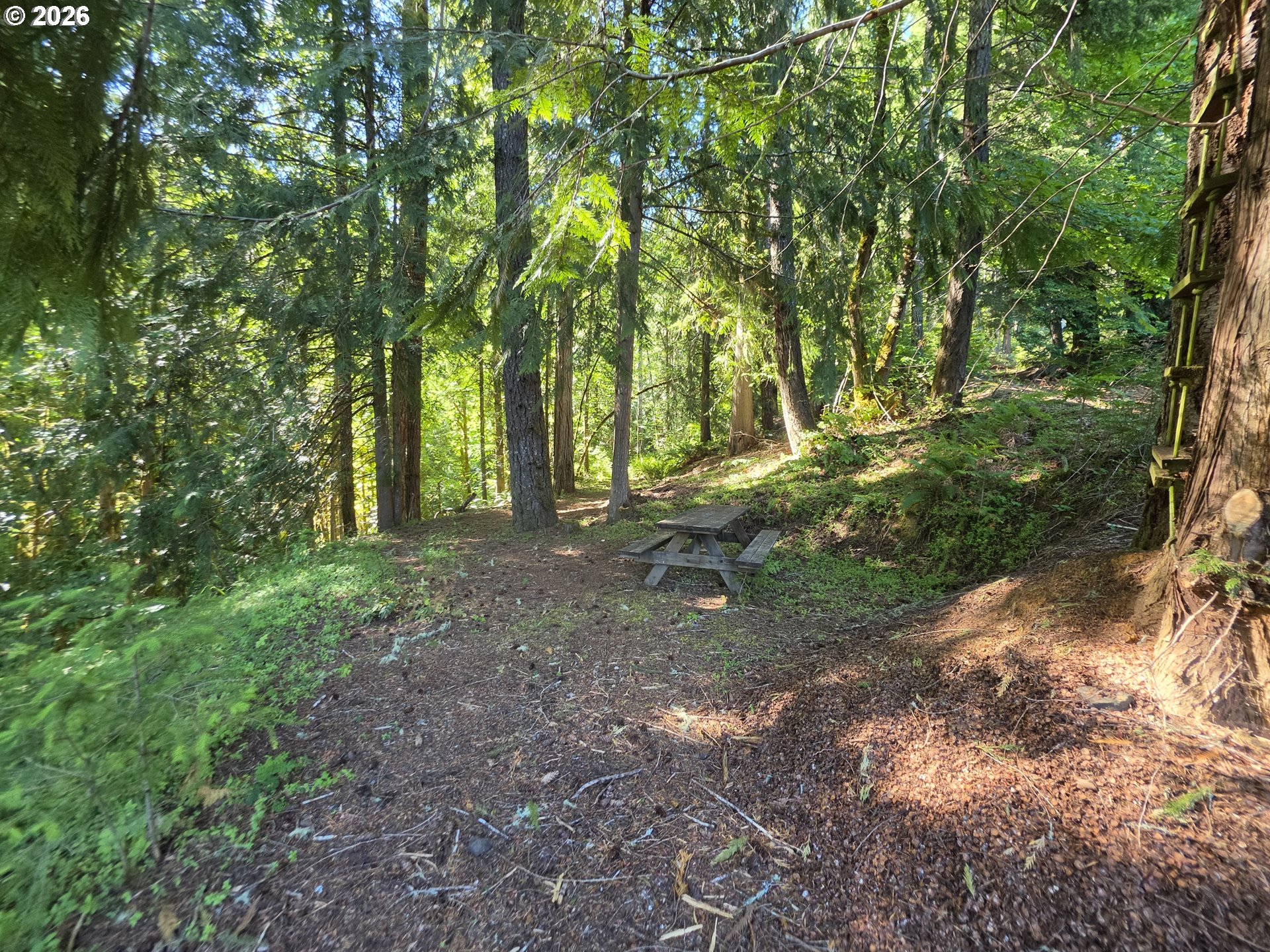 25797 Siuslaw Road Lorane, OR 97451 - Photo 2 of 14