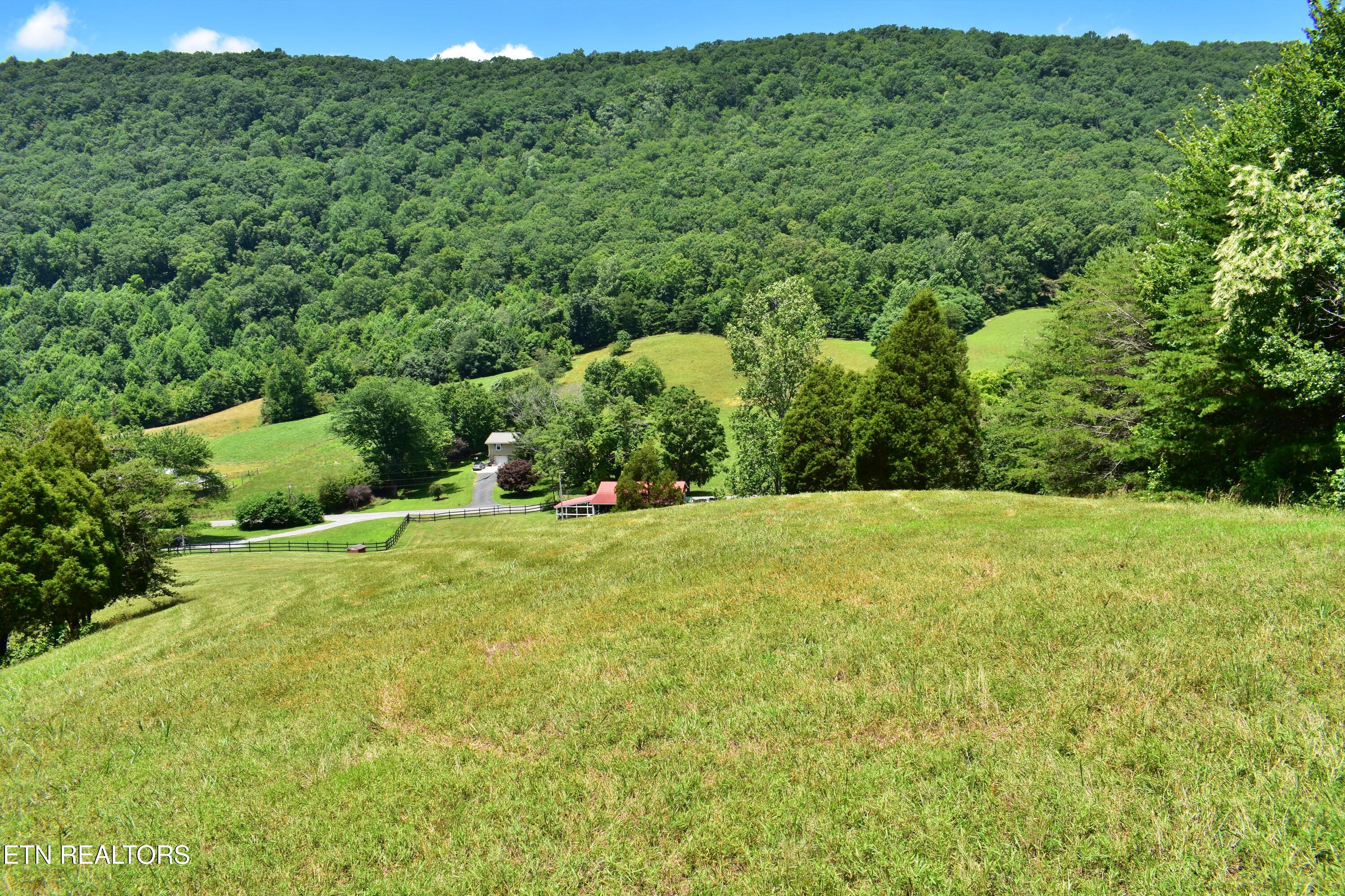1319 Ideal Valley Road Spring City, TN 37381 - Photo 43 of 49 DSC_0775