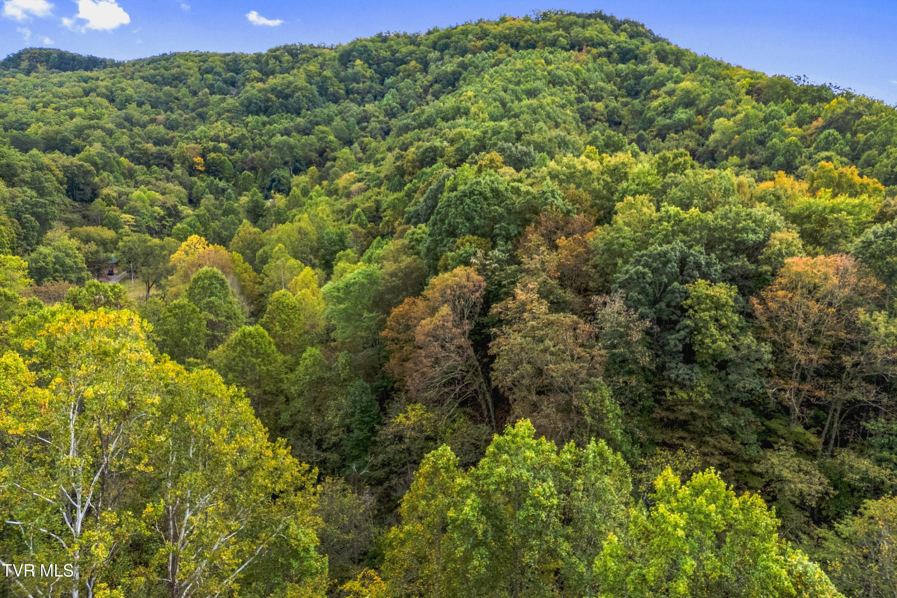 0 McMakin Road Rogersville, TN 37857 - Photo 11 of 16 011-McMakinRoad-TN-37857-SMALL