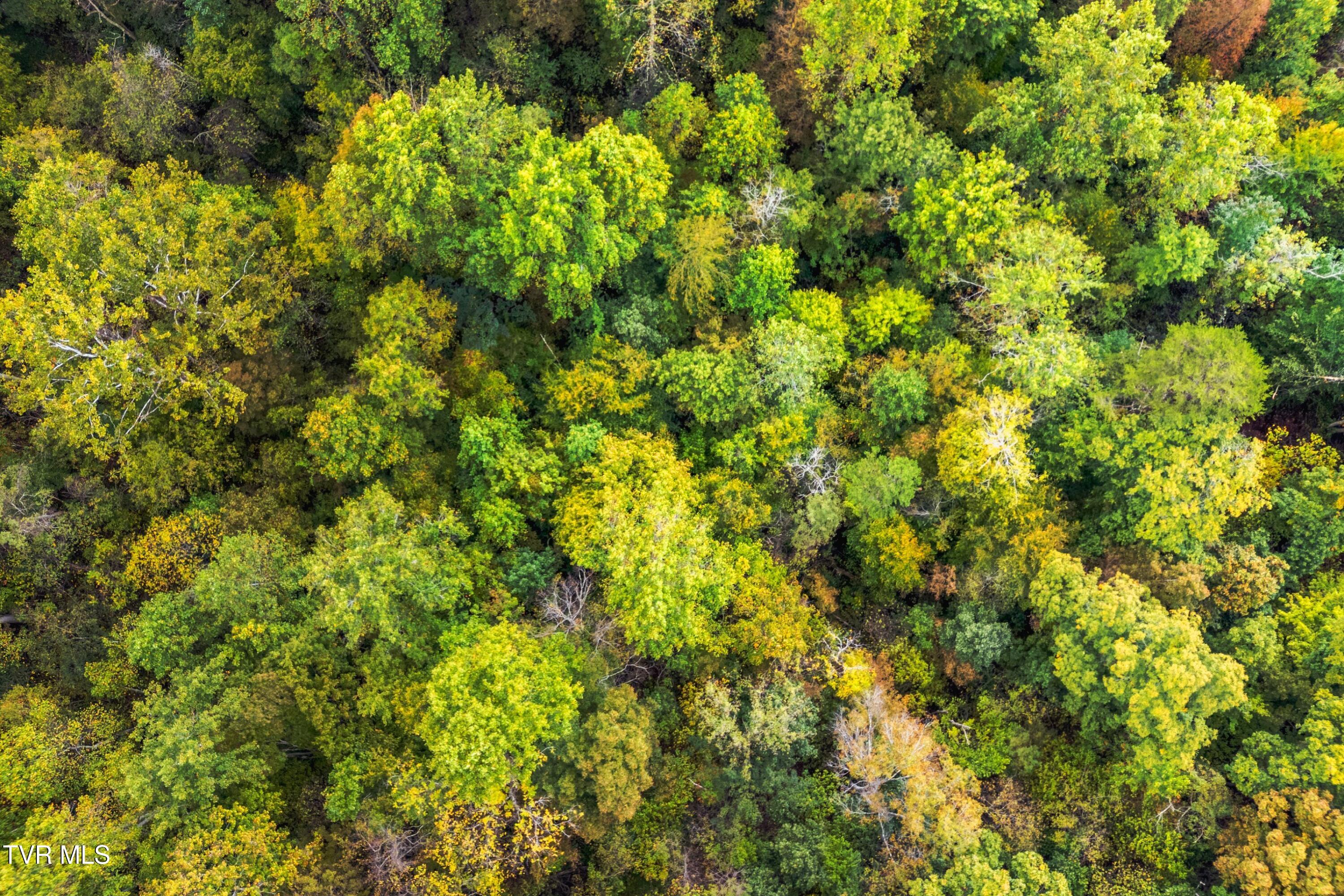 0 McMakin Road Rogersville, TN 37857 - Photo 12 of 16 012-McMakinRoad-TN-37857-SMALL