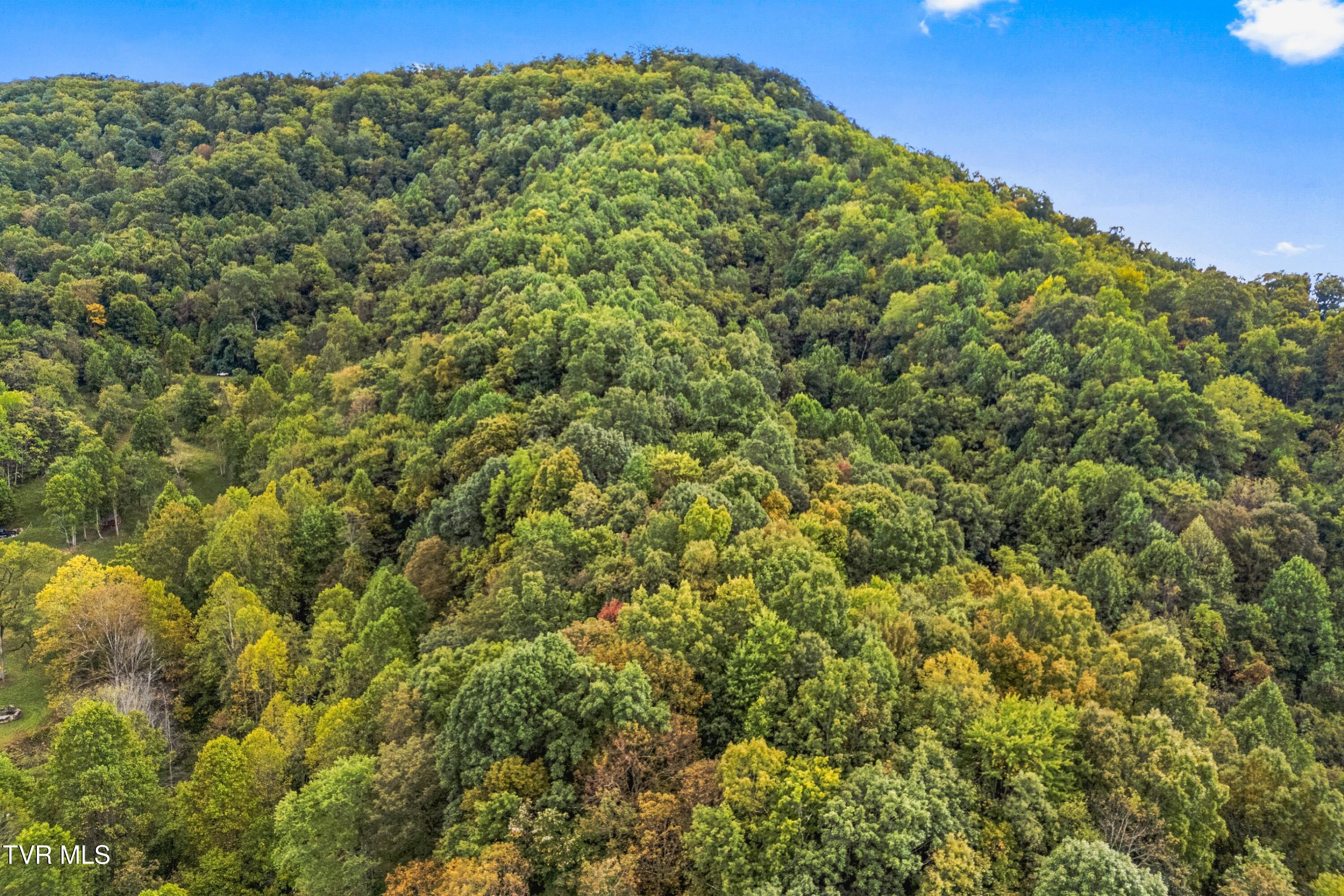 0 McMakin Road Rogersville, TN 37857 - Photo 13 of 16 013-McMakinRoad-TN-37857-SMALL