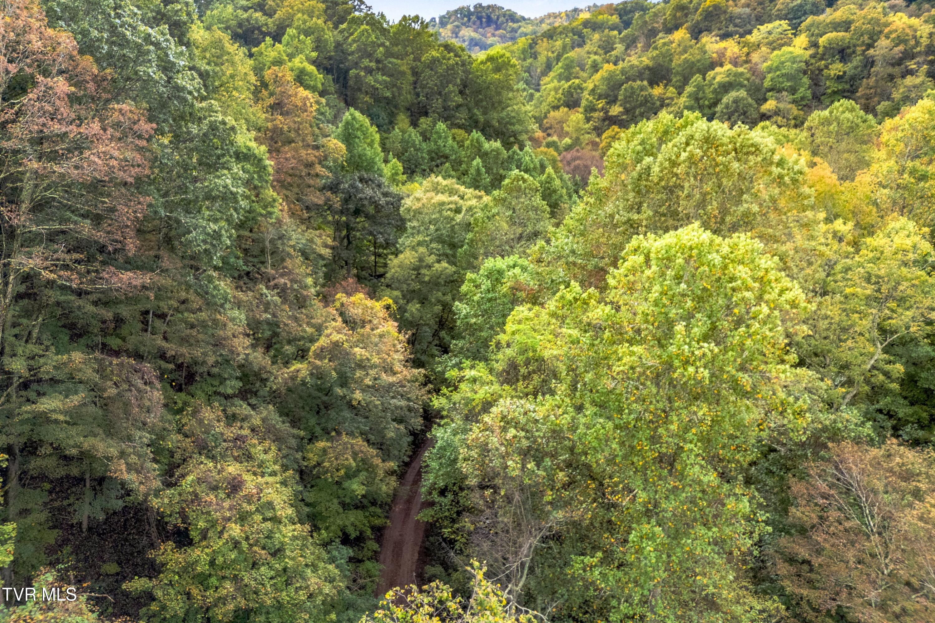 0 McMakin Road Rogersville, TN 37857 - Photo 14 of 16 014-McMakinRoad-TN-37857-SMALL