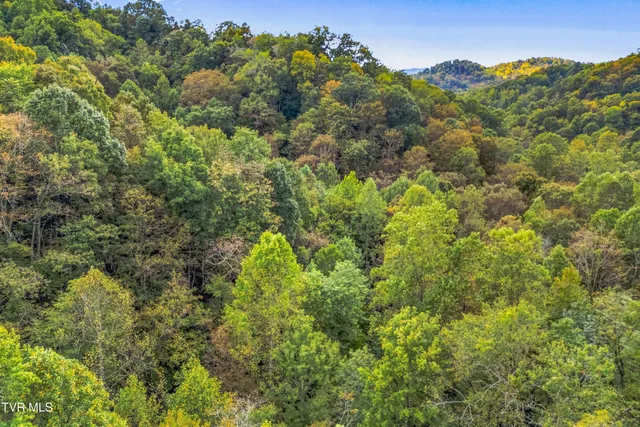 $40,000 | 0 McMakin Road, Rogersville, TN 37857