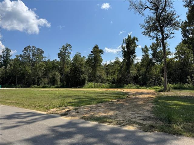 Lot B Linda's Haven Road Springfield, LA 70462 - Photo 5 of 6 Gallery Image 5