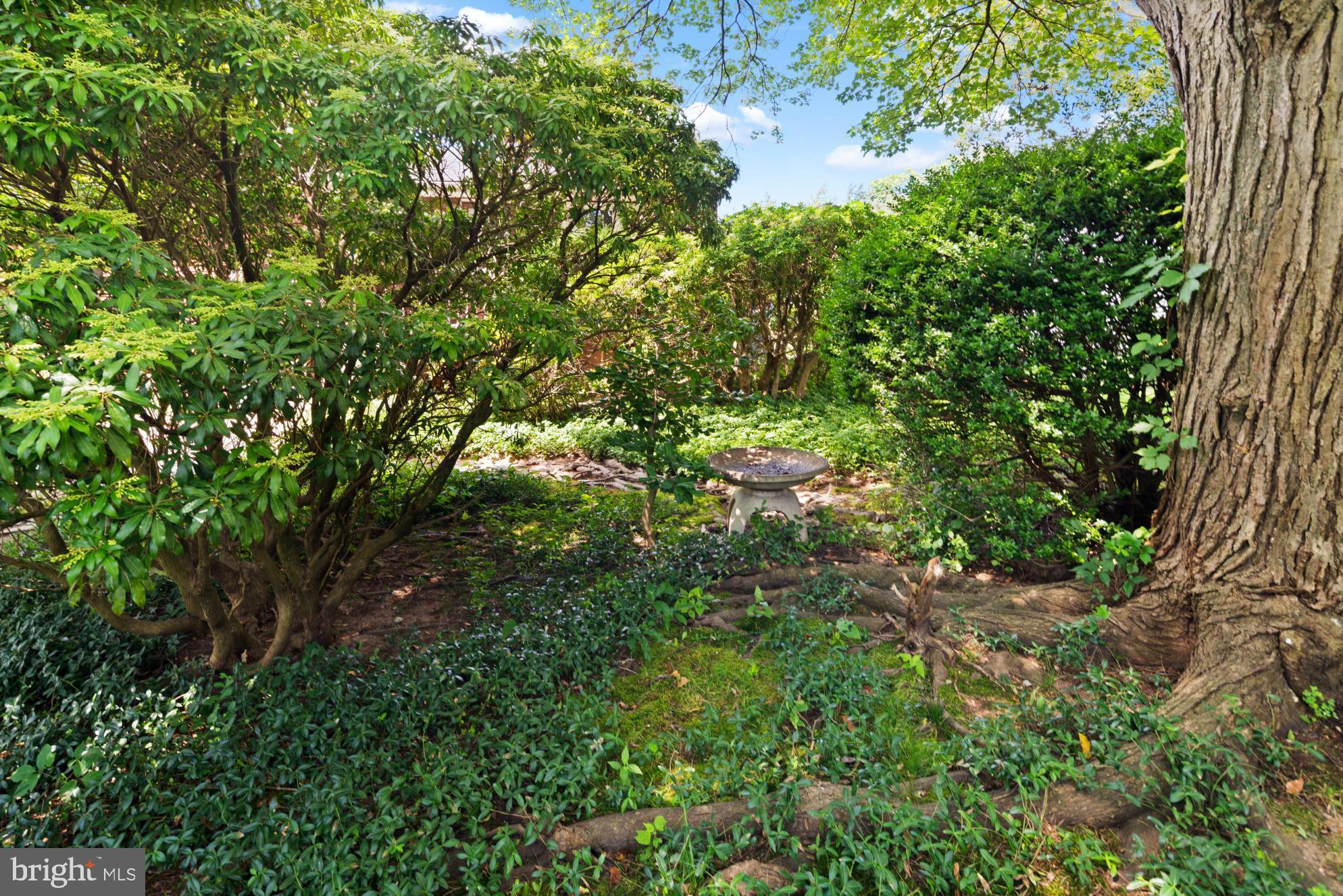 13 Colburn Road East Brunswick, NJ 08816 - Photo 32 of 34