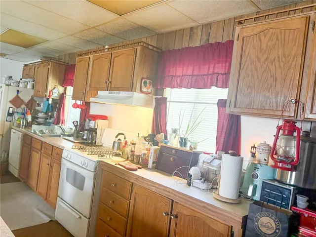 a view of a garden with mountain and trees