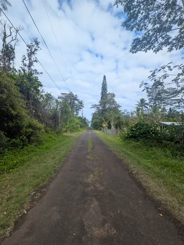 a view of a rural road with plants