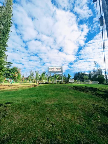 a view of a green field