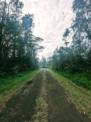 a view of outdoor space with deck and yard