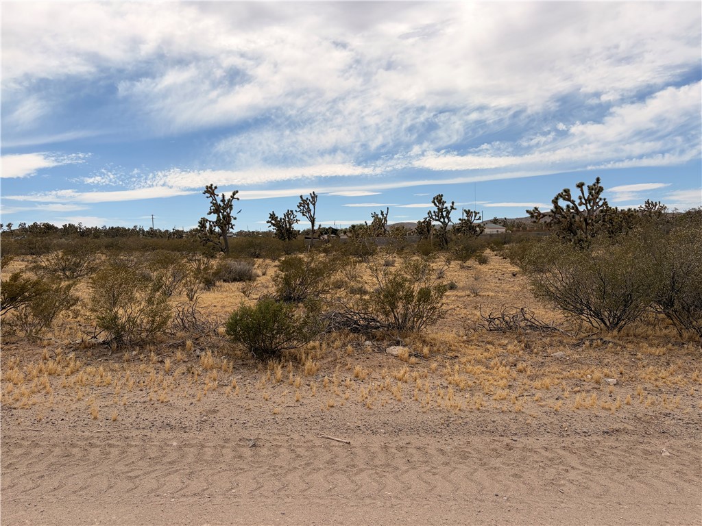 17773 Laurel Road Dolan Springs, AZ 86441 - Photo 2 of 9