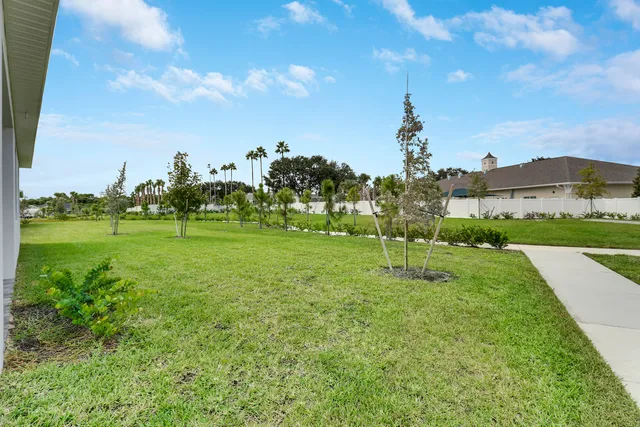 a park with lots of trees in the background