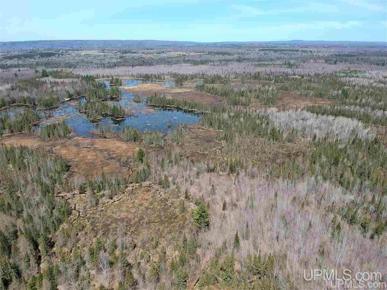Tbd Mud Lake Road Lake Linden, MI 49945 - Photo 16 of 18