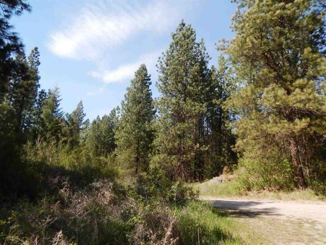 1132 C Philleo Road Addy, WA 99101 - Photo 2 of 6 Gallery Image 2